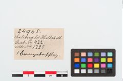 Etiketten zu Bronzenietband (NHMW-PRAE-024945)